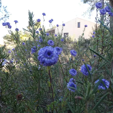 Chalet La Ruella *